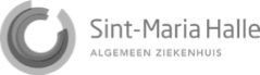 Sint Maria Halle